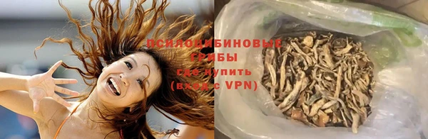 сатива Магас