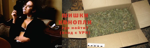 сатива Магас