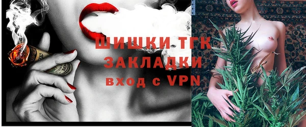 сатива Магас