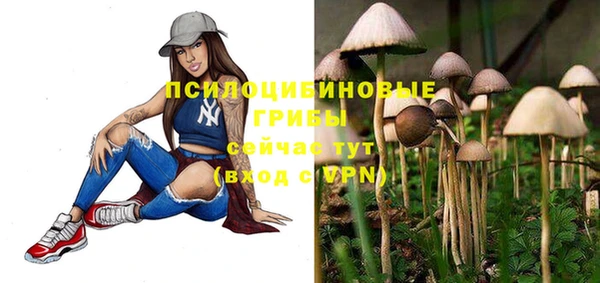 сатива Магас