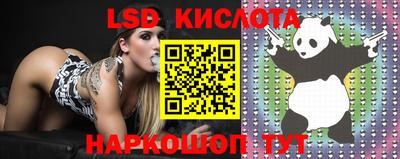 ECSTASY Изобильный