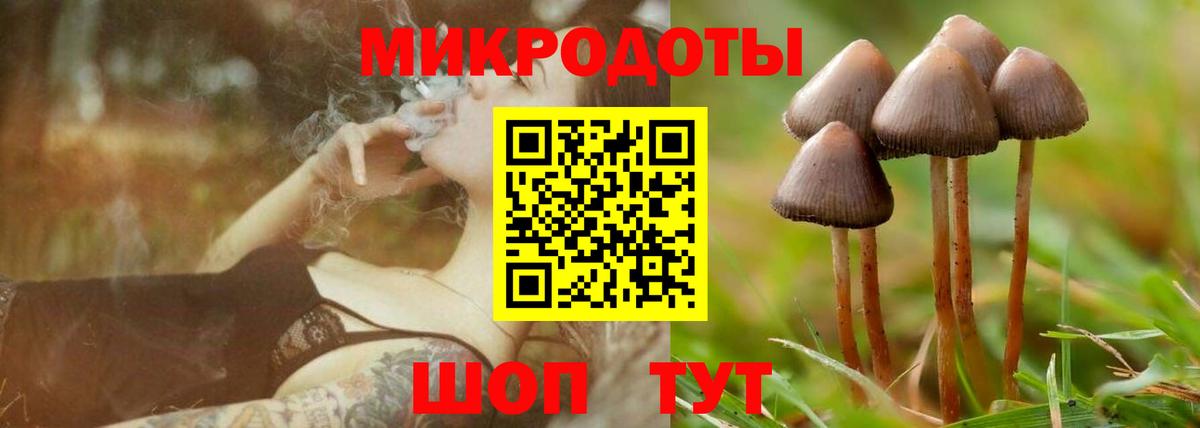 Самара  Псилоцибиновые грибы Cubensis  Вход с VPN 